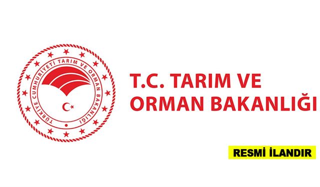 ORMAN YOLU YAPTIRILACAKTIR