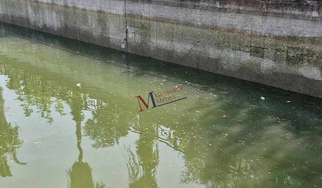 Seyhan Nehri'nde Eşsiz Manzara ve Üzücü Görüntüler Yan Yana