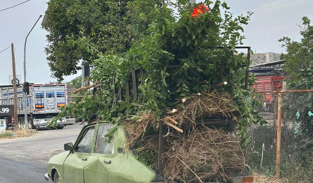 Kozan’da Tehlikeli Taşımacılık: Otomobil Üzerinde Ağaç Dalları Taşıdı