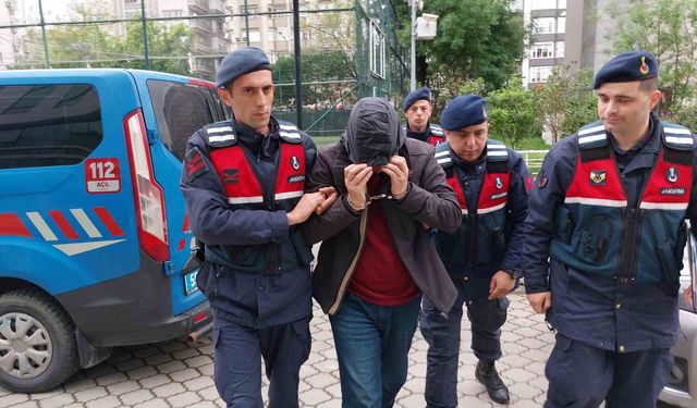 İnternetten İzleyip 5. Kattaki Evini Tarlaya Çevirdi