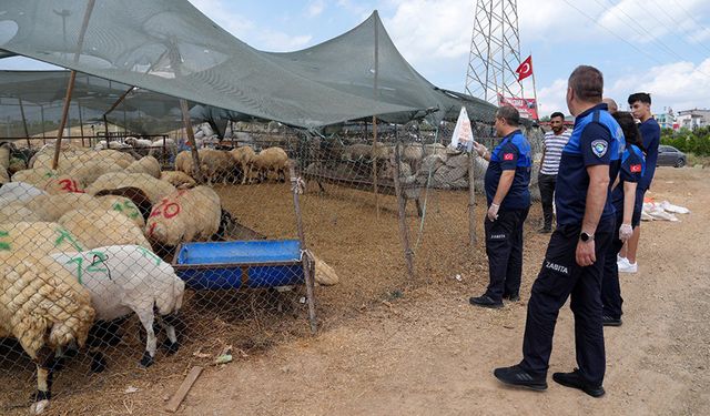 Çukurova’da Kurbanlık Satış Alanları Denetlendi