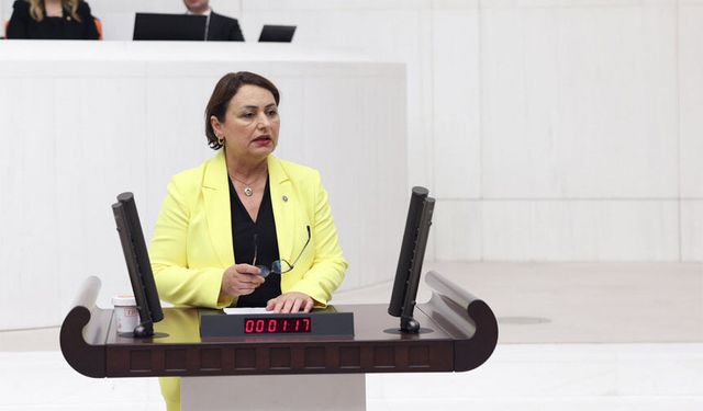 Adana’da Sel Felaketleri Meclis Gündeminde! CHP’li Şevkin’den Yeraltı Barajı Sorusu