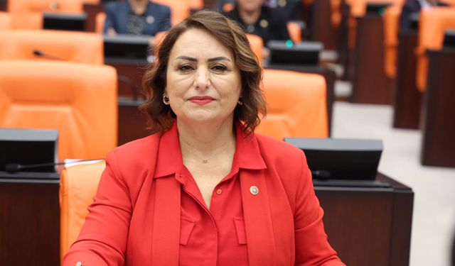 Dr. Şevkin’den Bakanlığa Sesleniş: “40 Kilometrelik Yol Turizm Yolu İlan Edilsin!”