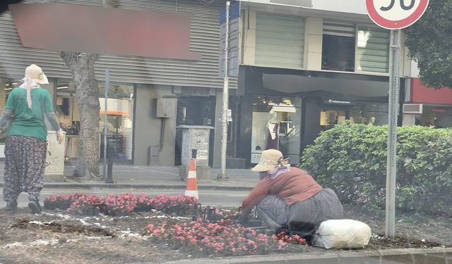 Seyhan’da Yazlık Peyzaj Çalışmaları Başladı