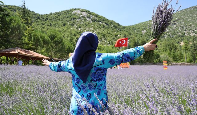 Adana’nın Lavanta Kokulu İlçesi Feke'ye Kadın Eli Değdi