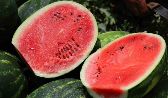 Adana’da Karpuz Fiyatları Dibe Vurdu, Çiftçiler Hasat Yapmıyor