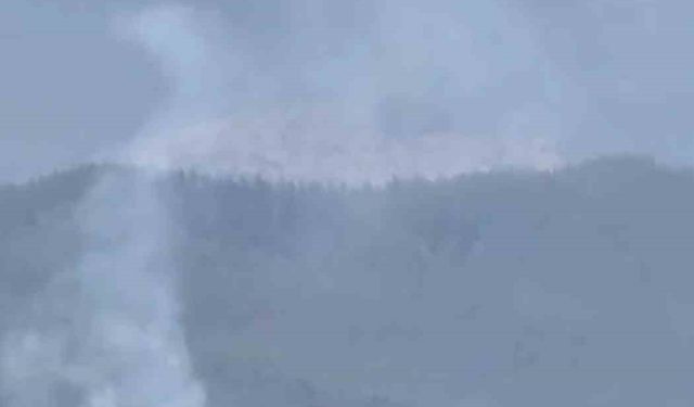 Aladağ’da Ormanlık Alanda Yangın Çıktı, Bölge Havadan ve Karadan Sarıldı