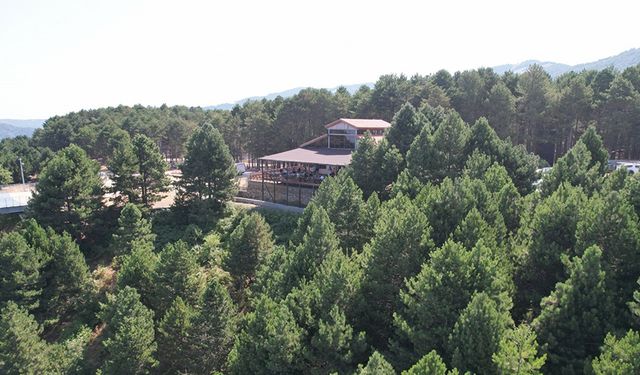 Doğa ve Lezzetin Buluştuğu Yer: Zorkun Yaylası Sosyal Tesisleri Artık Hizmette!