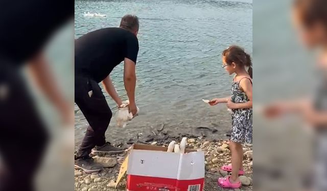 Adana’da Baba-Kızın Doğa Sevgisi Yürek Isıttı: “Defne’nin Ördekleri” Feke’de Görüntülendi