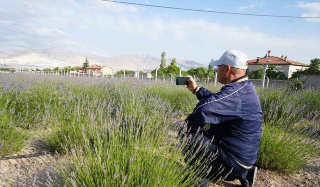 Boş Arazi Lavanta Bahçesine Dönüştü, Turizm Kapıları Aralandı