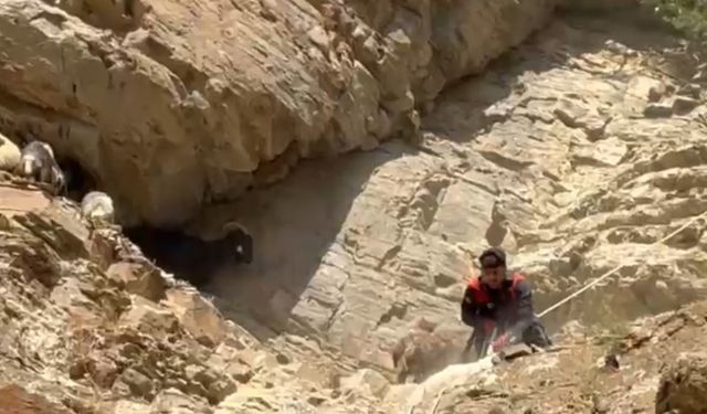 Dağda Mahsur Kaldılar, Umudu Ekipler Getirdi!  Kurtarma Anları Film Gibi