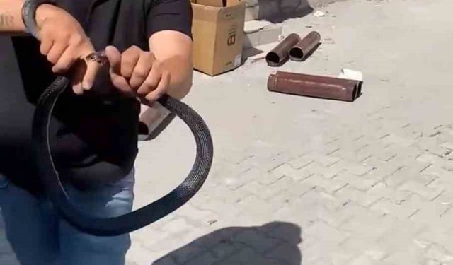 Eve Giren Yılanı Yakalamak İstedi, Parmağını Isırttı!