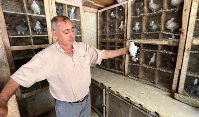 Felaket Her Şeyi Yıktı Ama Kuş Sevgisini Silemedi! Metin Amcanın Yürek Burkan Hikayesi