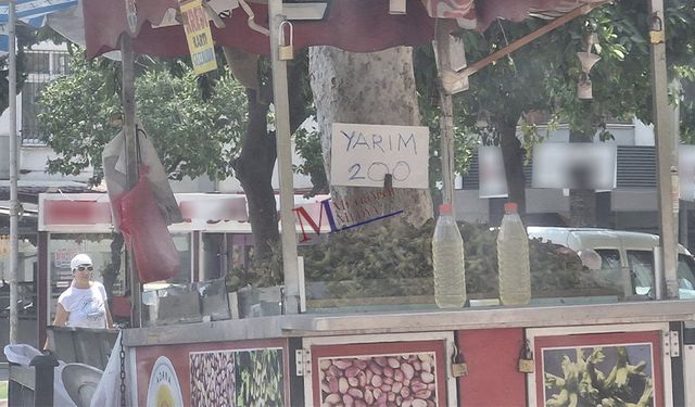 Adanalılar Bu Görüntüye Alışık Değil! Fındık Ağaçtan Değil Tezgahtan Geldi