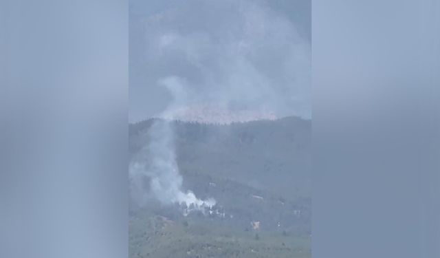 Havadan Müdahale, Karadan Destek! Aladağ’daki Yangın Güçlükle Söndürüldü
