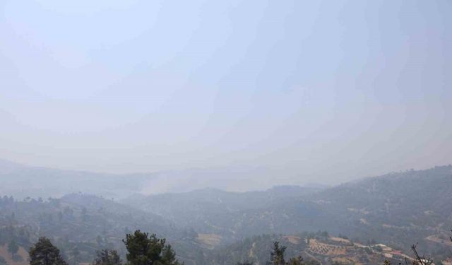 Kahramanmaraş’ta Orman Yangını Kâbusu: 4 Ev Küle Döndü, 20 Ev Boşaltıldı!