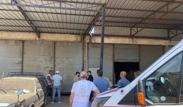 Marangoz Usta İş Yerinde Can Verdi! Ölüm Nedeni Mercek Altında