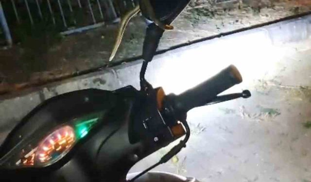 Park Halindeki Motosiklet Sürücüsünü Korkuttu: Aracını Kullanmaktan Vazgeçti!