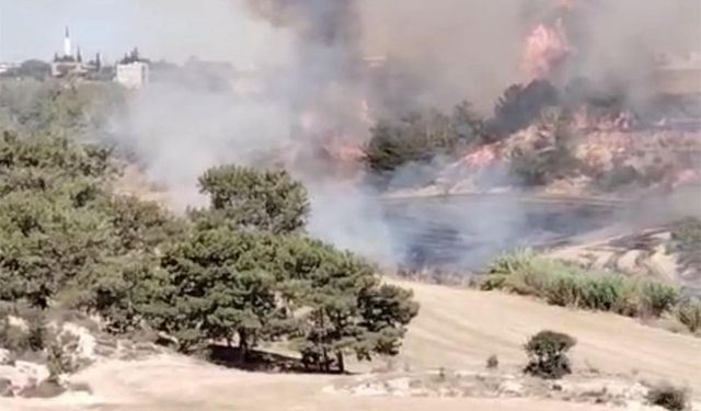 Dumanı Gören Telefonu Kaptı! Sarıçam’daki Yangın Bölgede Paniğe Neden Oldu