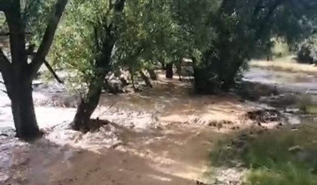 Yaylalarda Sağanak Yağış Felaketi: Arı Kovanları Sulara Kapıldı