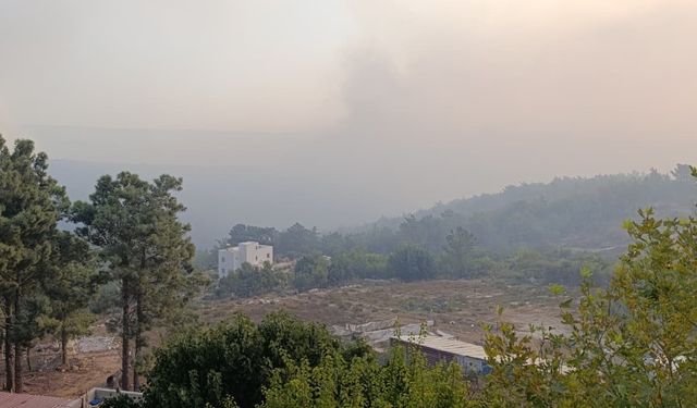 2 Gündür Sönmüyor! Mersin’deki Yangına Müdahale Sürüyor