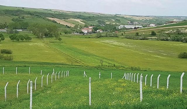 Adana'da küçük yatırım şansı: 100m arsa bu rakama satışa konuldu