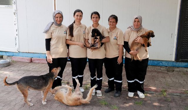 Kalpleri Isıtan Hikâye! Çukurova Belediyesi’nde 5 Kadın Hayat Kurtarıyor