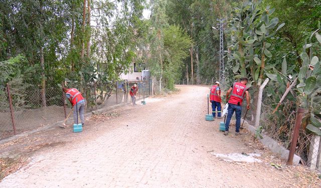 Yol, Park, Temizlik… Ceyhan Belediyesi Mahalleleri Baştan Aşağı Yeniliyor