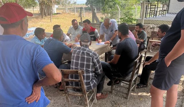 Ceyhan’da Genel Tarım Sayımı Devam Ediyor: Çiftçilere Kritik Uyarılar ve Bilgilendirme