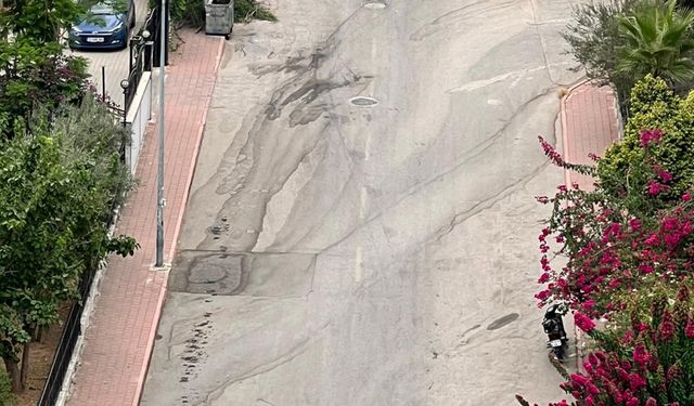 Adana’da Sinek ve Koku Kabusu: Mahalle Halkı Belediyeye Ses Yükseltti