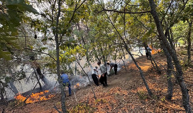 Adana’da Orman Alarmı! Feke’de Yangına Hızlı Müdahale