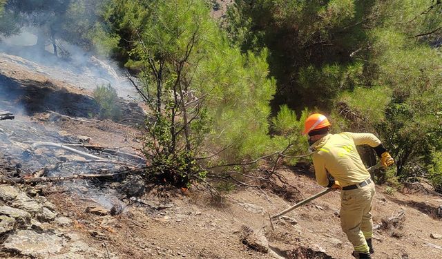 Feke’de Korkutan Orman Yangını Kontrol Altına Alındı! İşte Son Durum