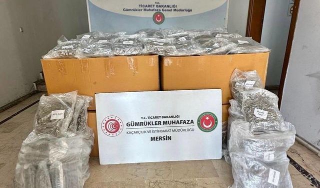 Gizlenen Dev Yük! 587 Kilo Esrarla Yakalandılar!