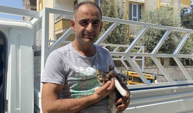 Miyav Sesini Duydu, Hayatını Değiştirdi! İşte O Anlar