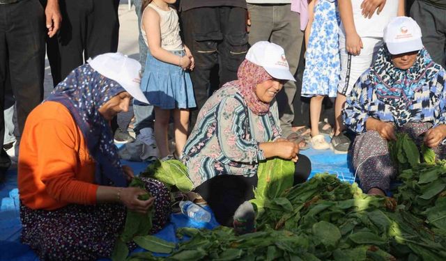 Ödülü Almak İçin Saatlerce Ter Döktüler: Tütün Dizme Yarışından Renkli Görüntüler
