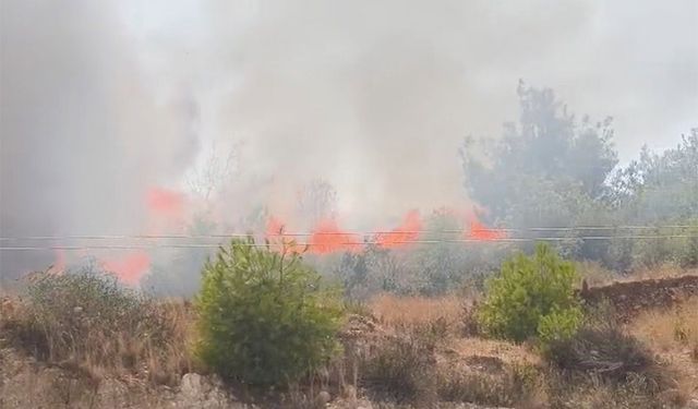 Alevler Fabrikalara Metreler Kala Durduruldu! Adana’da Büyük Tehlike