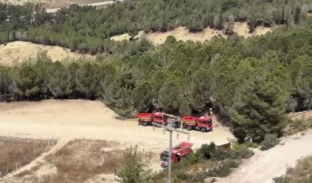 Adana’da Orman Alarmı: Ekipler Hızla Müdahale Etti
