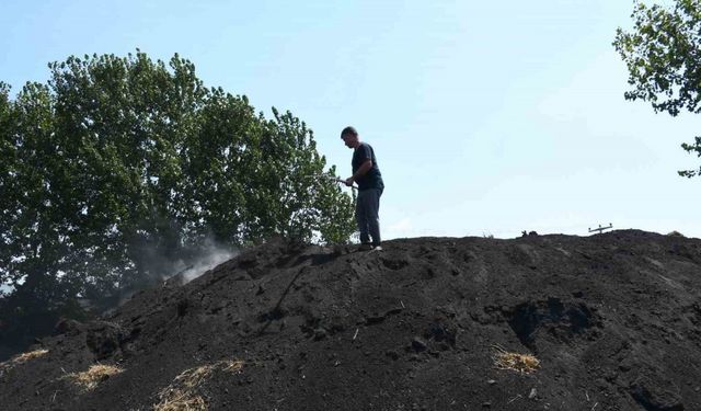 Sıcak Havaya Rağmen Mangal Kömürü Mesaisi Devam Ediyor