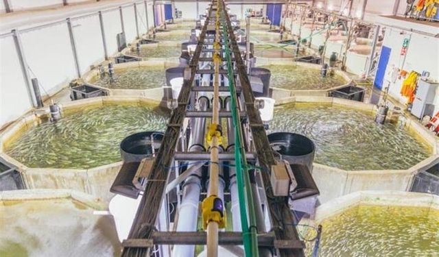 Balık, Karides, GES ve 5 Bin Kişiye İş! Karataş’ta Dev Proje Başlıyor