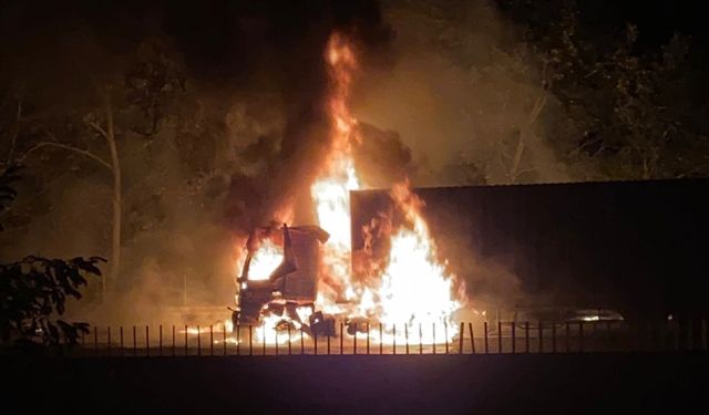 Otoyolda Korkutan Yangın! Alevler Ormanı Sardı, Yol Trafiğe Kapandı