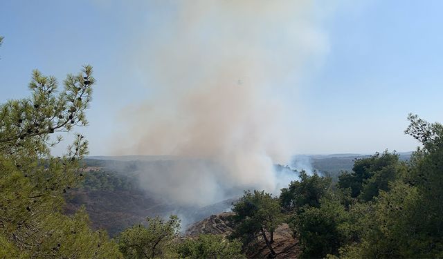 Adana’da Orman Yangını! 3 Helikopter ve 2 Uçakla Müdahale Başladı