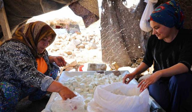 Yayla Ürünleri Kapış Kapış Gidiyor: Temiz, Taze ve Doğal