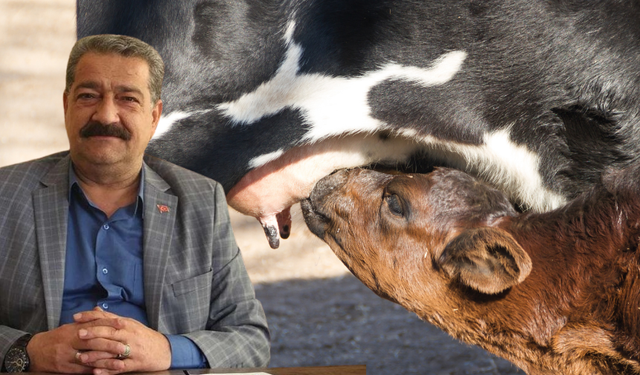 Adana'da Üç Gün Hastalığı: Kasaplardan Et Almak Sakıncalı mı?