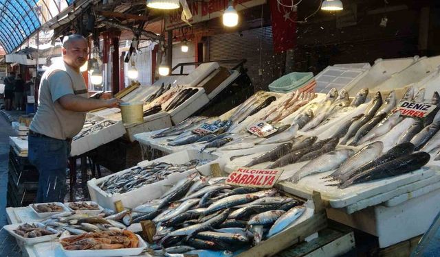 Akdeniz’de Av Yasağı Sona Erdi, Tezgahlarda Balık Bolluğu Başladı