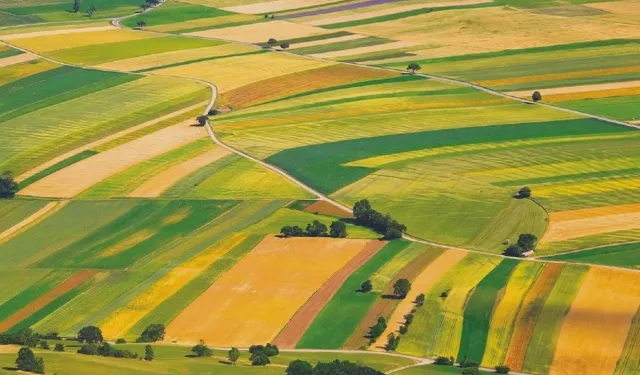 Adana Ceyhan'da 39 dönüm tarla fiyatı ile şaşırttı: Devlet bu rakamı belirledi