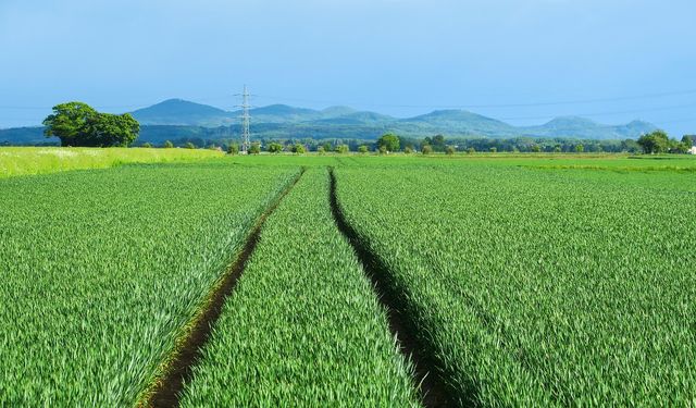 Adana'da dev satış: 45 dönüm alan bu fiyata verilecek! Devlet kurumu son tarihi duyurdu