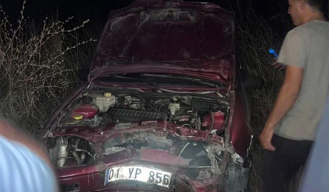 Adana’da Vahşi Hayatla Burun Buruna Kaza: Araç Şarampole Devrildi