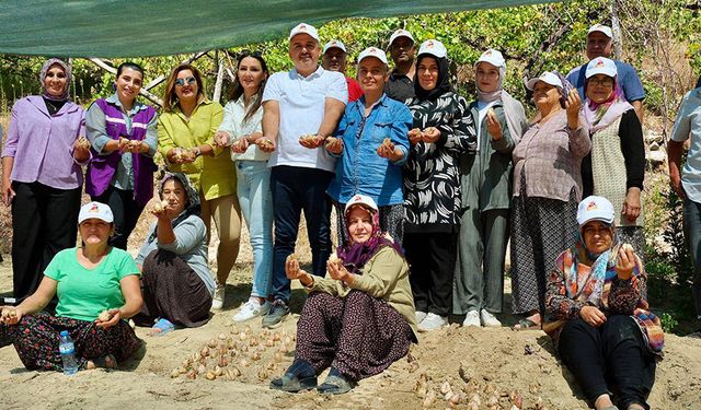 Düşük Maliyet, Yüksek Gelir: Adana’da Kadınların Üretimle Sosyal Statü Yükselişi