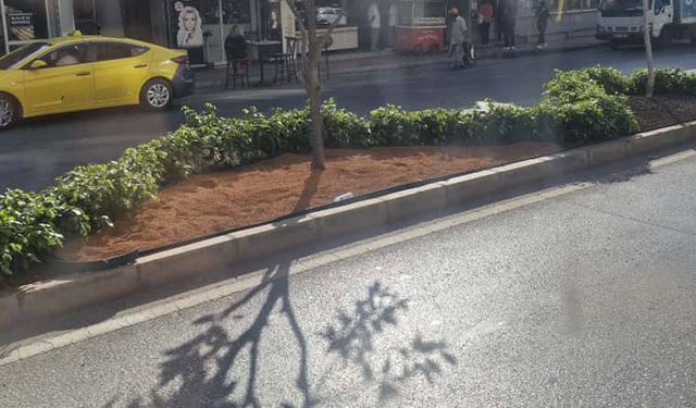 Seyhan’da Sürücülere Ve Yayalara Müjde: Ana Cadde Yepyeni Bir Görünüme Kavuştu