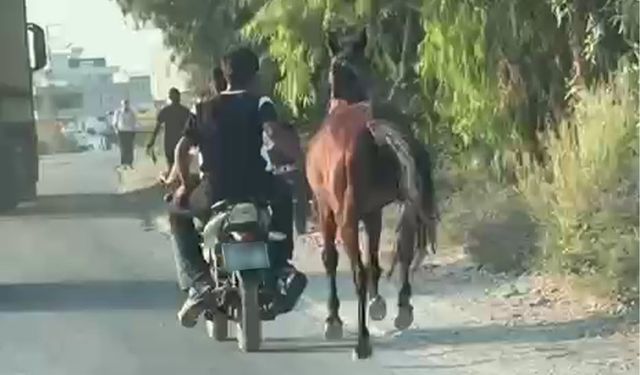 Trafik ve Hayvan Sağlığı Tehlikede! Adana’da Motosikletle At Koşturuldu